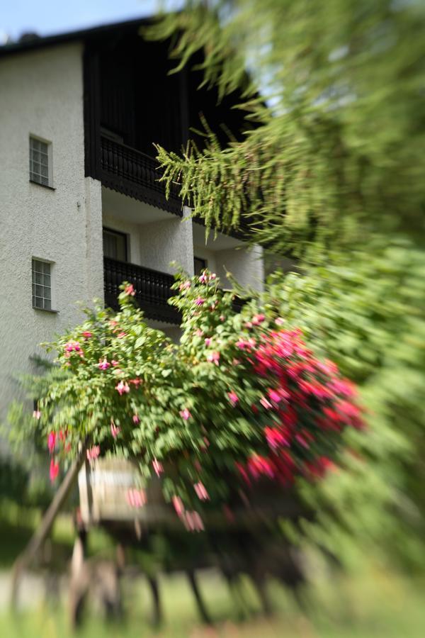 Landhaus Am Forst - Apartments Bad Alexandersbad Kültér fotó